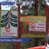 Нижегородцев приглашают в ряды общественных лесных инспекторов