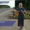 Что стоит помнить при выборе бахчевых?