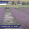 Нижегородский прованс образовался неподалеку от деревни Зубаниха