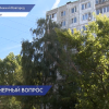 Площадку для сбора твёрдых бытовых отходов полностью обустроили на улице Паскаля
