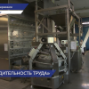 Более чем на 30% увеличилась выработка на Дзержинском хлебозаводе благодаря бережливым технологиям