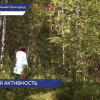 Несмотря на похолодание, сохраняется клещевая активность в Нижегородской области