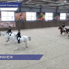 Новый крытый манеж для занятий конным спортом открылся в Нижнем Новгороде на территории зооцентра «Надежда»