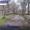 Коммунальщики приводят в порядок улицы Нижнего Новгорода после сильного ветра