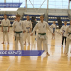 В ФОКе «Приокский» провели семинар «Окинавское каратэ направления Сёрин-рю»
