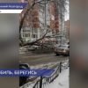 После ледяного дождя в Нижнем Новгороде насчитали 575 упавших деревьев