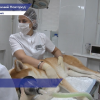 Более 700 стоматологических услуг оказали ветеринары госветупраления Нижнего Новгорода домашним питомцам в 2022 году