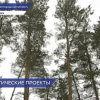 Нижегородская область оказалась в числе лидеров по сохранению лесов и очистке рек