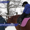 В Нижегородской области стартует курс иппотерапии для маленьких переселенцев с Донбасса