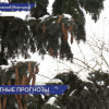 По народным приметам весна и лето в Нижегородскую область придут рано