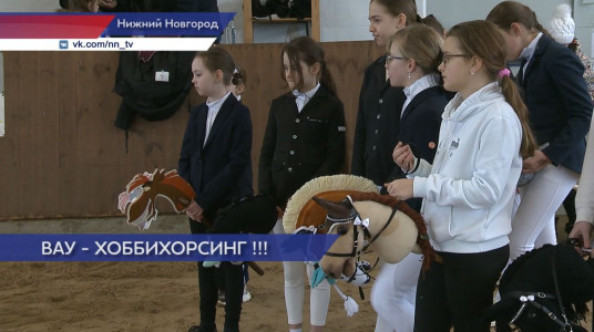 Соревнования по скаканию на палке прошли в Нижнем Новгороде