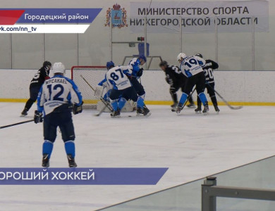 Ветеранский турнир по хоккею в честь Дня защитника Отечества прошел в Городецком районе