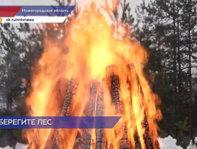 Сотрудники лесничества и МЧС провели учения по тушению лесных пожаров в Нижегородской области
