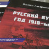 Презентация книги «Русский бунт. Год 1918-й» историка и журналиста Вадима Андрюхина прошла в Курмыше