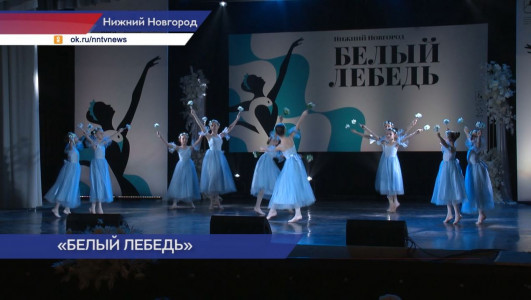 В Нижнем Новгороде впервые прошел Всероссийский детский балетный конкурс «Белый лебедь»