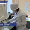 В Воскресенском районе двухлетний ребенок заболел боррелиозом после укуса клеща