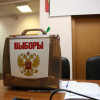 Нижегородцы рассказали о намерениях участвовать в выборах 2023 года