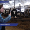 Студенты нижегородских вузов узнали, как развивается агротуризм в Богородском округе
