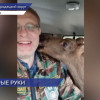 Оставшегося без матери лосенка спасли возле деревни Хахалино в Городецком округе