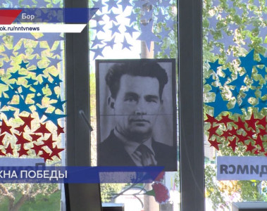 Школу №2 на Бору украсили портретами учителей — участников Великой Отечественной войны
