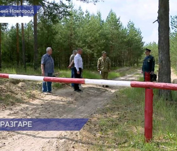 В лесах Нижегородской области специалисты регулярно проводят профилактические рейды