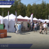 Фестиваль «Учись в Нижнем» прошел в парке «Швейцария»