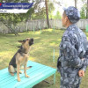 114 годовщину Кинологической службы правоохранительных органов отметили в системе ГУФСИН