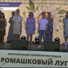 Фестиваль «Ромашковый луг» прошел в Лукоянове