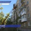 Благодаря социальному участковому на Московском шоссе спилили мешающее жителям дерево