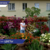Победителей конкурса красивых дворов «Я здесь живу, я здесь творю!» наградили в Автозаводском районе