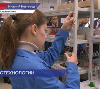 В Нижегородской области начали активно следить за экологической обстановкой