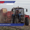 Аграрии Нижегородской области собрали богатый урожай картофеля
