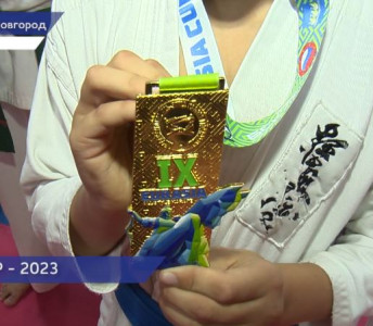 Нижегородские бойцы привезли 4 золотых и 4 серебряных медали с Кубка Евразии EurAsia Cup 2023