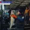 Традиционный рыболовный турнир ProAnglers League прошел на Горьковском водохранилище