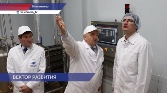 Суперсовременное производство молочной продукции запустили в Княгининском округе