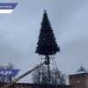 На площади Минина и Пожарского начали устанавливать новогоднюю елку