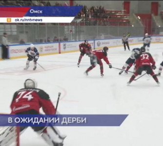 Нижегородская «Чайка» завершила регулярный Чемпионат МХЛ победой над «Омскими Ястребами»