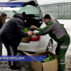 Три тысячи кустов рассады в дар сельским школам вырастил агрокомбинат «Горьковский»