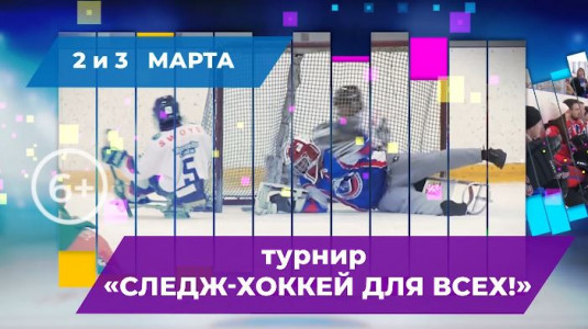 Уникальный турнир «Следж-хоккей для всех» пройдет в Нижнем Новгороде 2 и 3 марта