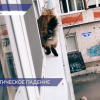 В Нижнем Новгороде участились случаи выпадения домашних животных из окон
