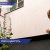 Госжилинспекция проверила утепление дома на улице Пожарского в Дзержинске
