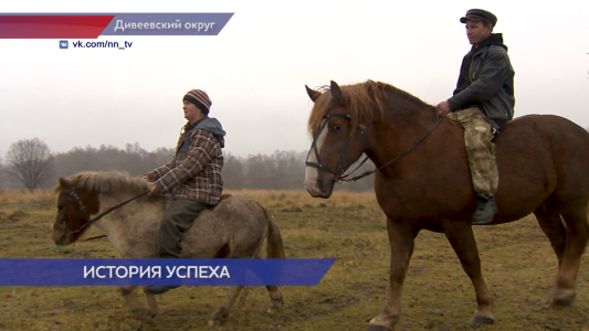 Эко-ферму «Домик с лошадками» можно посетить в Дивеевском округе