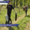 Экологическая акция прошла в Артемовских лугах в преддверии Дня Волги