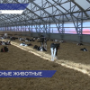 Нижегородцам обещают защиту от низкосортных продуктов
