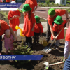 Экологическая акция «Зелёная волна» прошла в Нижнем Новгороде
