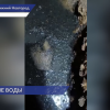 Квартиру нижегородцев с маленьким ребёнком затопило канализационными водами