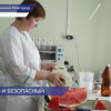 Роспотребнадзор провёл проверку арбузов на наличие нитратов