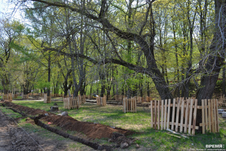 2 300 деревьев и 42 кустарника планируется посадить осенью в Нижнем Новгороде