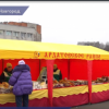 30 сельхозпроизводителей представили свою продукцию на ярмарке на Советской площади