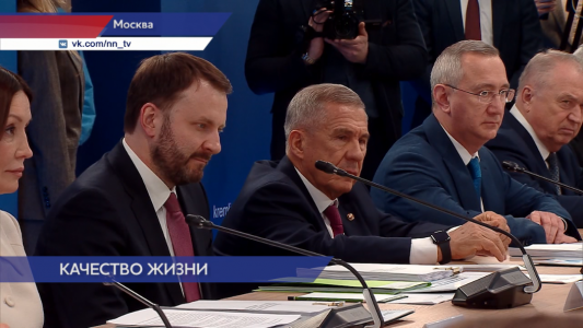 Нижегородская область стала лидером в стране по поддержке многодетных семей